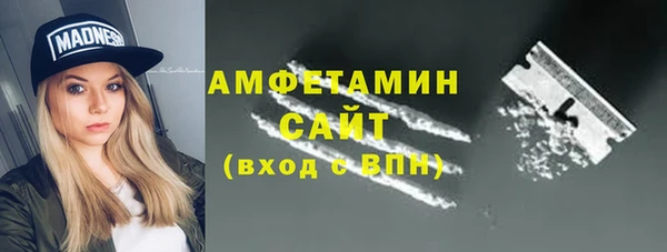 ешки Алексин