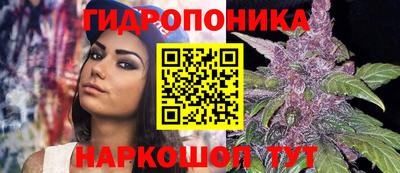 прущие крисы Гулькевичи