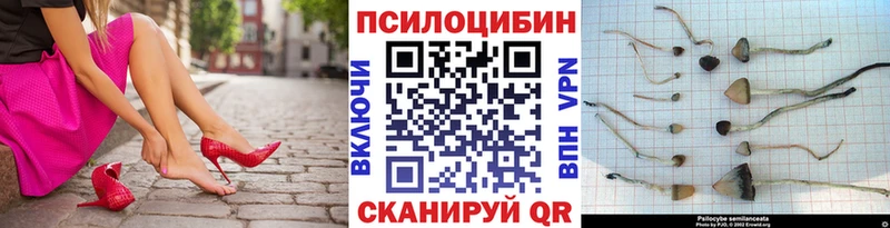 Галлюциногенные грибы ЛСД  где купить наркотик  Киреевск 