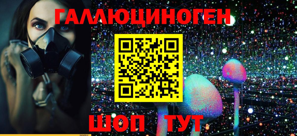 Галлюциногенные грибы Psilocybine cubensis Киреевск