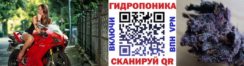Каннабис гибрид  купить  цена  Киреевск 